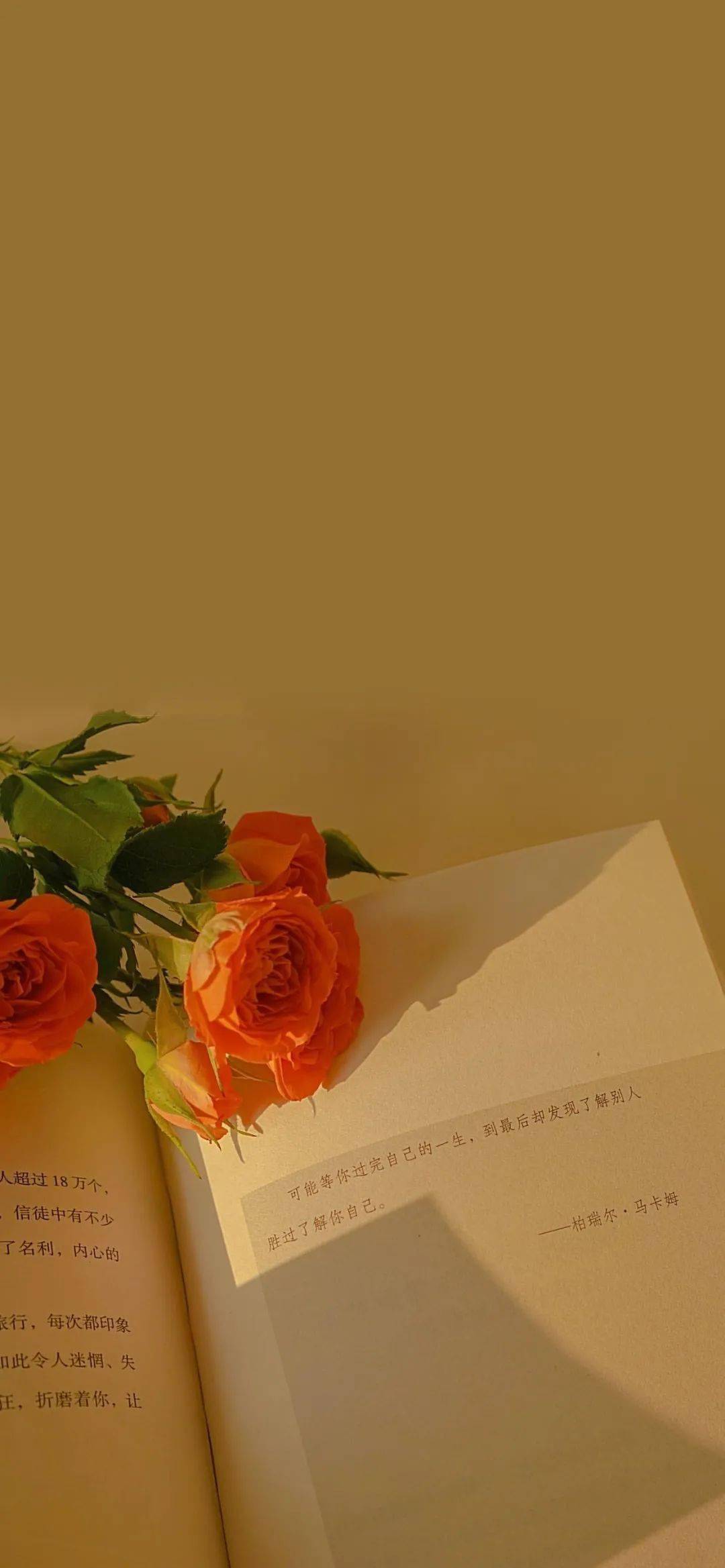 Iphone壁纸 无水印壁纸美图 什么