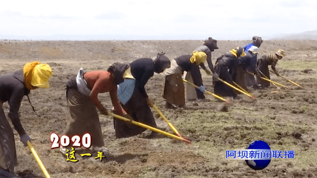 干活人口面积_工地干活图片