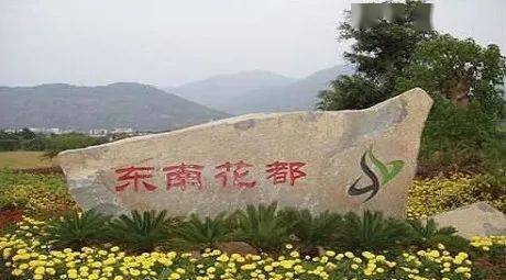 【探秘海洋~花语仙踪】 长泰天柱山 东南花都 品鲈鱼餐高品质纯玩汽车