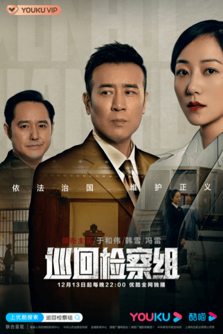 巡回检察组电视剧
