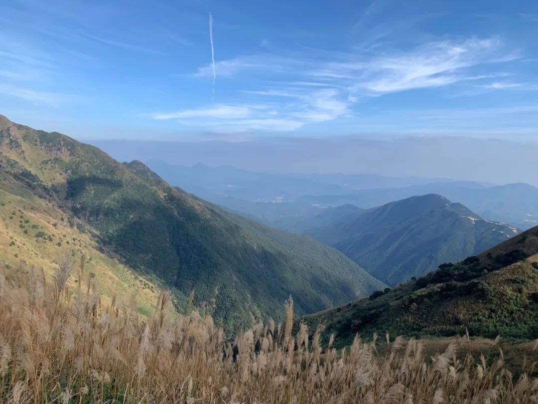 1月9/10号 惠州大南山大草坡穿越,满山遍野芦苇荡下摄影,云中漫步斧头