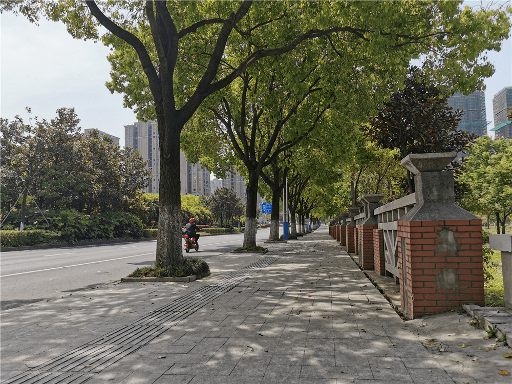 庆丰路(南溪路—凌公塘路)全长约900米,沿线有南德农贸市场,i do商业