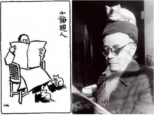 钱钟书打林徽因的猫名人吸猫也疯狂