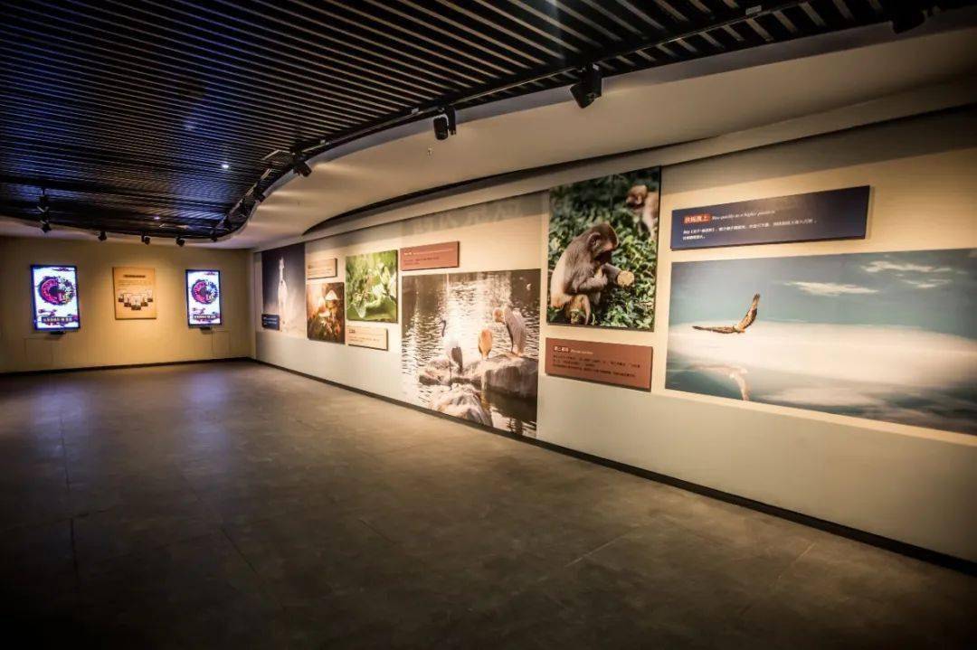 仙什么道什么成语(3)