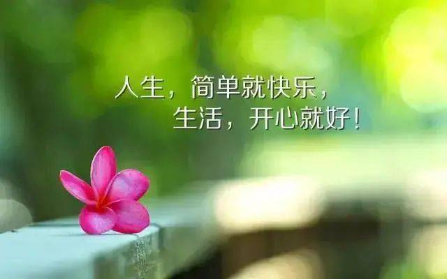 7d74a21141714b7ba51c43393436cdbf.jpeg