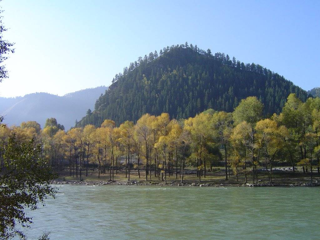 2020庆阳市GDP_庆阳市地图(2)