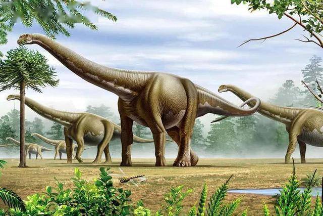 阿根廷龙,有史以来最大的恐龙之一(图源:mohamad haghani/alamy)棘龙