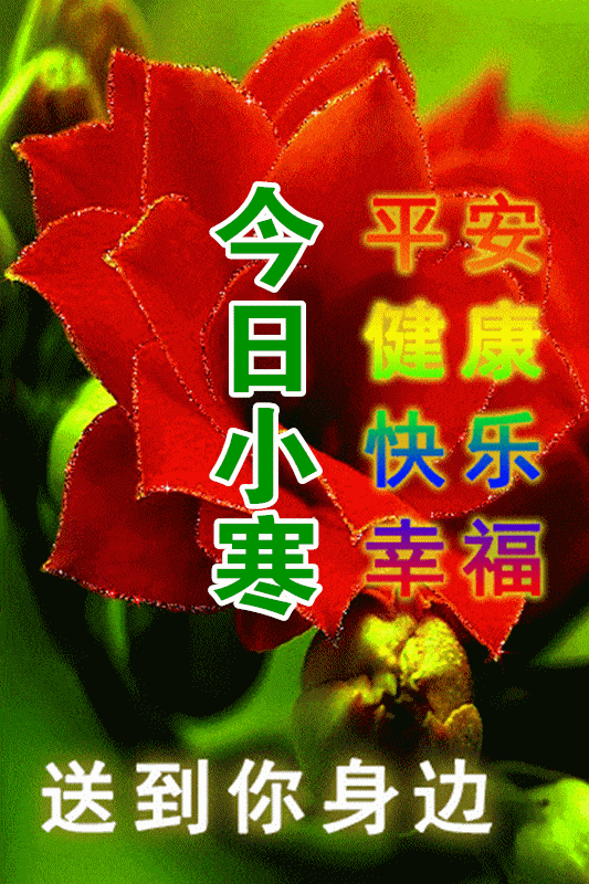 533_800 竖版 竖屏