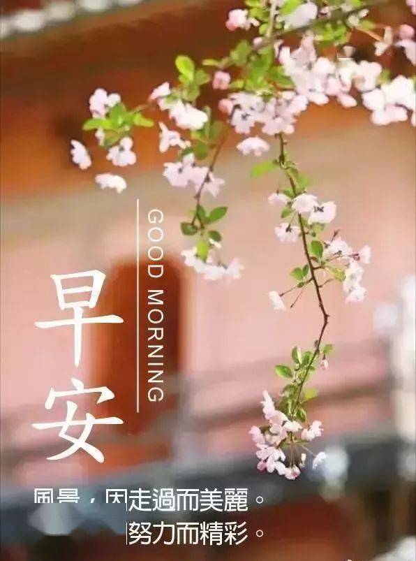 2021年1月6日最漂亮早上好动态表情图片大全,早晨好动图美图大全