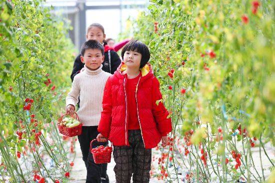 “节假日消费”写入“十四五”规划建议，意味着什么