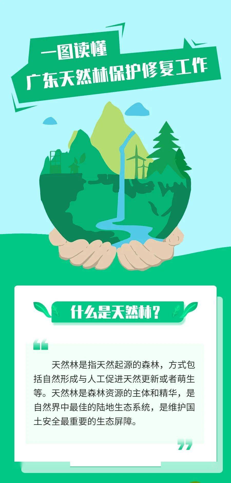 
什么是天然林？一起来看看广东天然林掩护修复事情‘芒果体育官