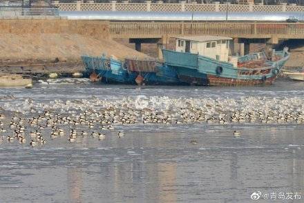 海口气象局封门照事件，气象监测与公众安全的紧密联系