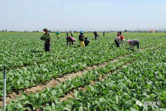 2021年固原gdp_固原五中2017年图片