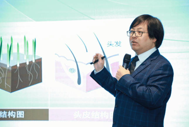 2010到2020年各省gdp_中国各省地图(2)