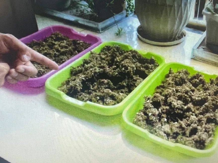 啥叫自产自销 fc4ae1d22f3341aa86a62d8616ed4eea.jpeg