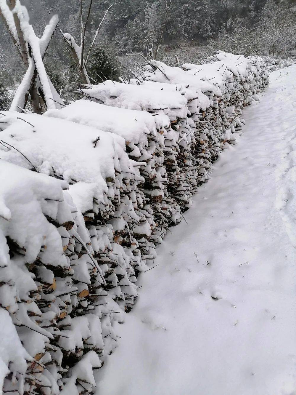 瑞雪兆丰年|2021年梁平第一场雪来了,路面都铺满了.