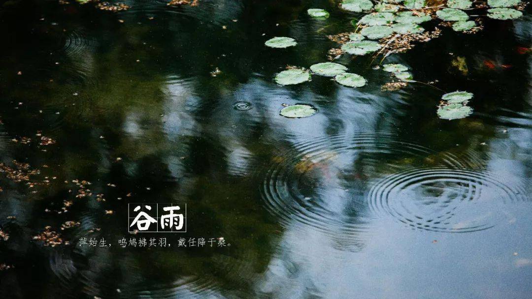 萍始生︱呜鸠拂其羽︱戴任降于桑-谷雨-黄永玉送给故乡的画意诗情里