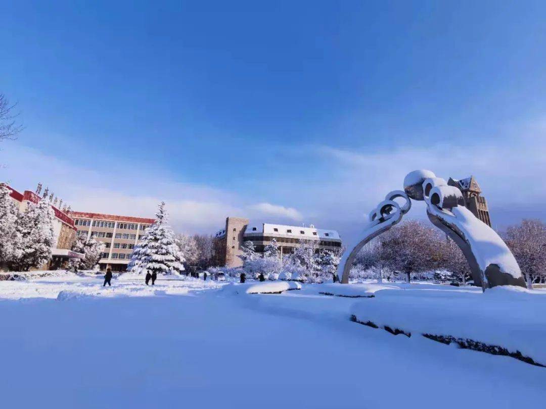 最全!烟台各高校雪景图,快来看看有没有你的学校