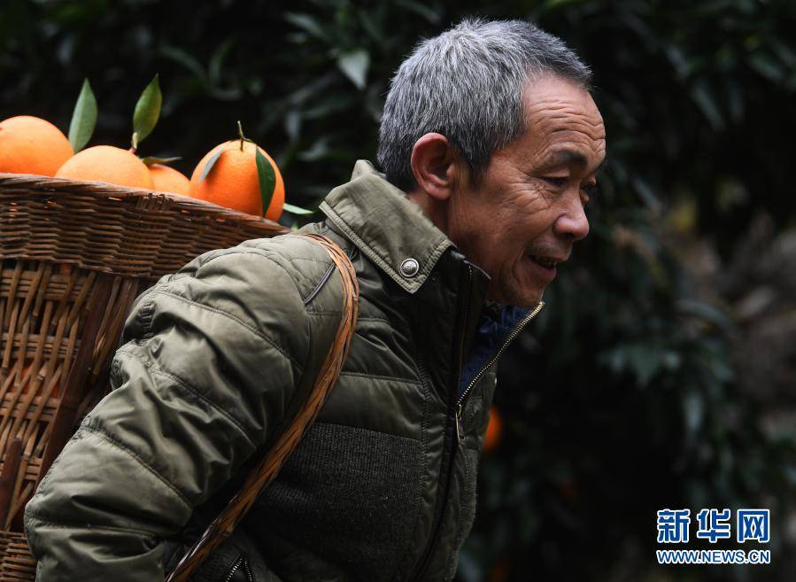 阎良房村人口_阎良大良村老照片