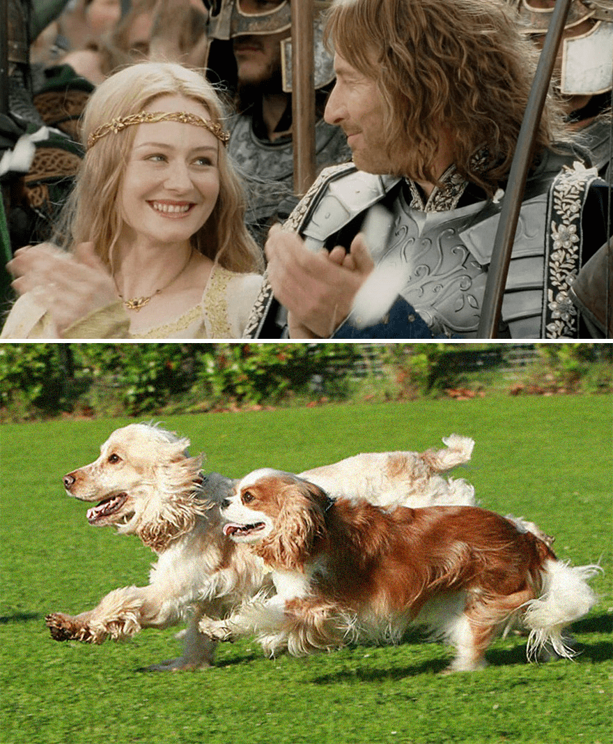 owyn and faramir(伊欧玟与法拉墨)