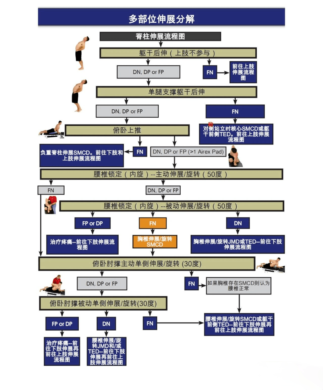 如今sfma在临床中应用越来越广泛,但是sfma评估的可靠性与检查者的