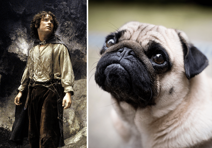 frodo baggins佛罗多·巴金斯