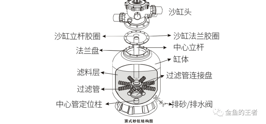 阳台自建帆布鱼池,沙缸过滤,植物水道种大蒜.不断尝试,乐在其中!