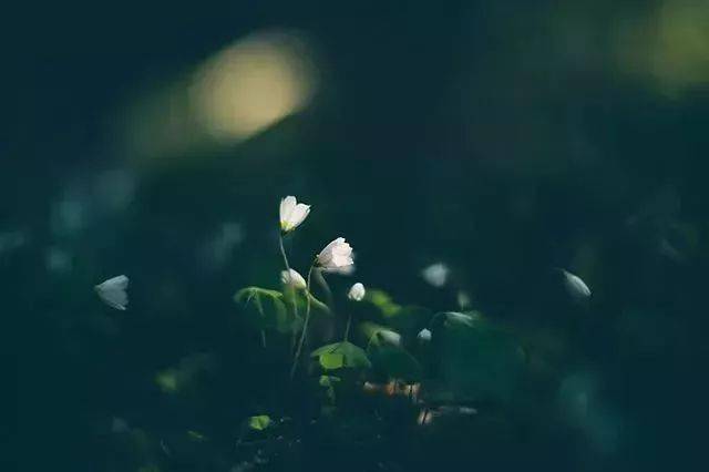 c59643b0d949424083bc249b2e2a8f45.jpeg