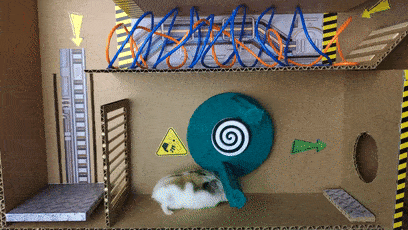 仓鼠版植物大战僵尸萌翻5000万人,看up鼠如何闯关救队友