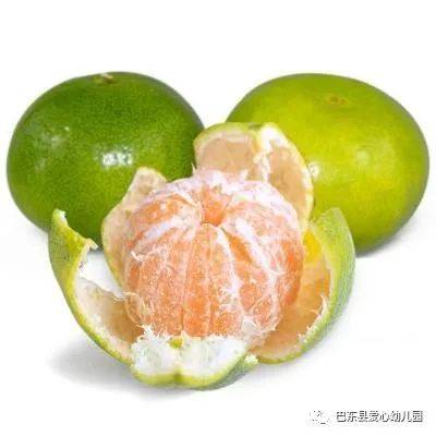 爱心幼儿园2020年秋赢咖4娱乐注册季学期营养食谱