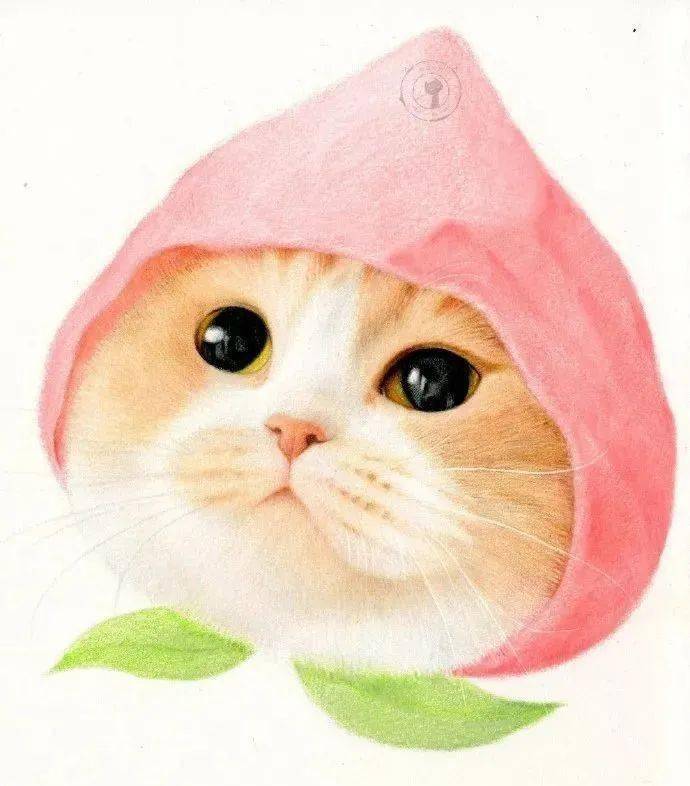 彩铅教程 | 彩铅可爱猫咪过程图_清猫