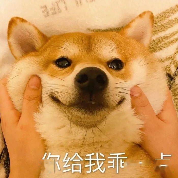 c2d8a92197d44505af042da4d4c70d2d.jpeg