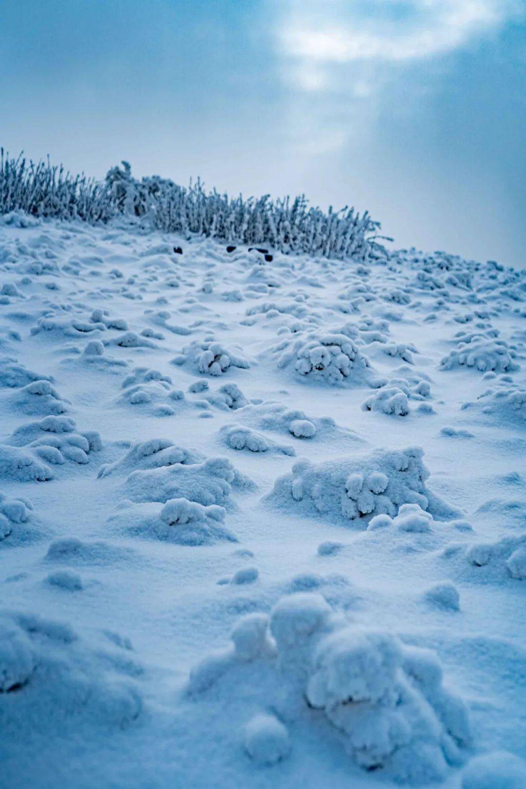 汉中2021年第一场雪,美成了童话