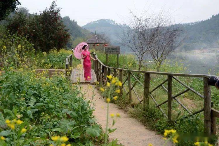 郁南人口有多少_郁南大王山森林公园(2)