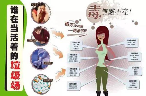 体内毒素有多少来自哪里如何去除