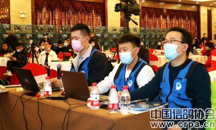 拍卖会上的照片 17fa7884e7324973afdc7f9f8ecee8b7.jpeg