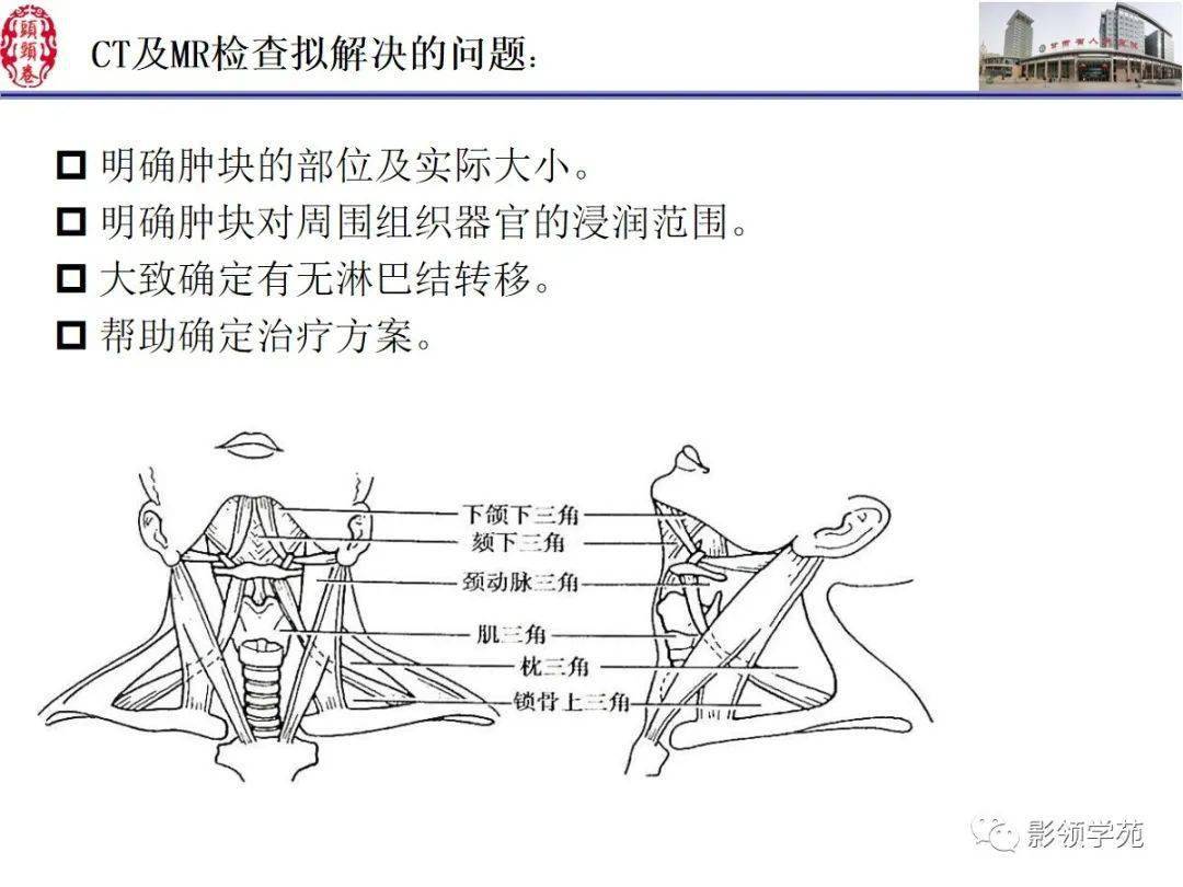 舌,口底影像解剖及常见疾病诊断