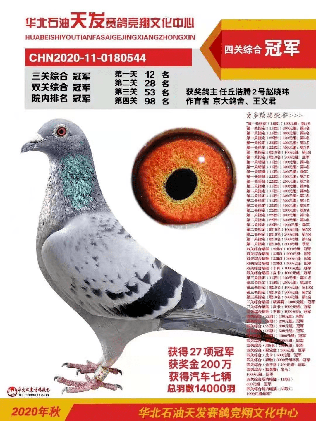 信鸽鸽子市场视频 4d838358ec6e4ed5be6f5c5c307523ee.png