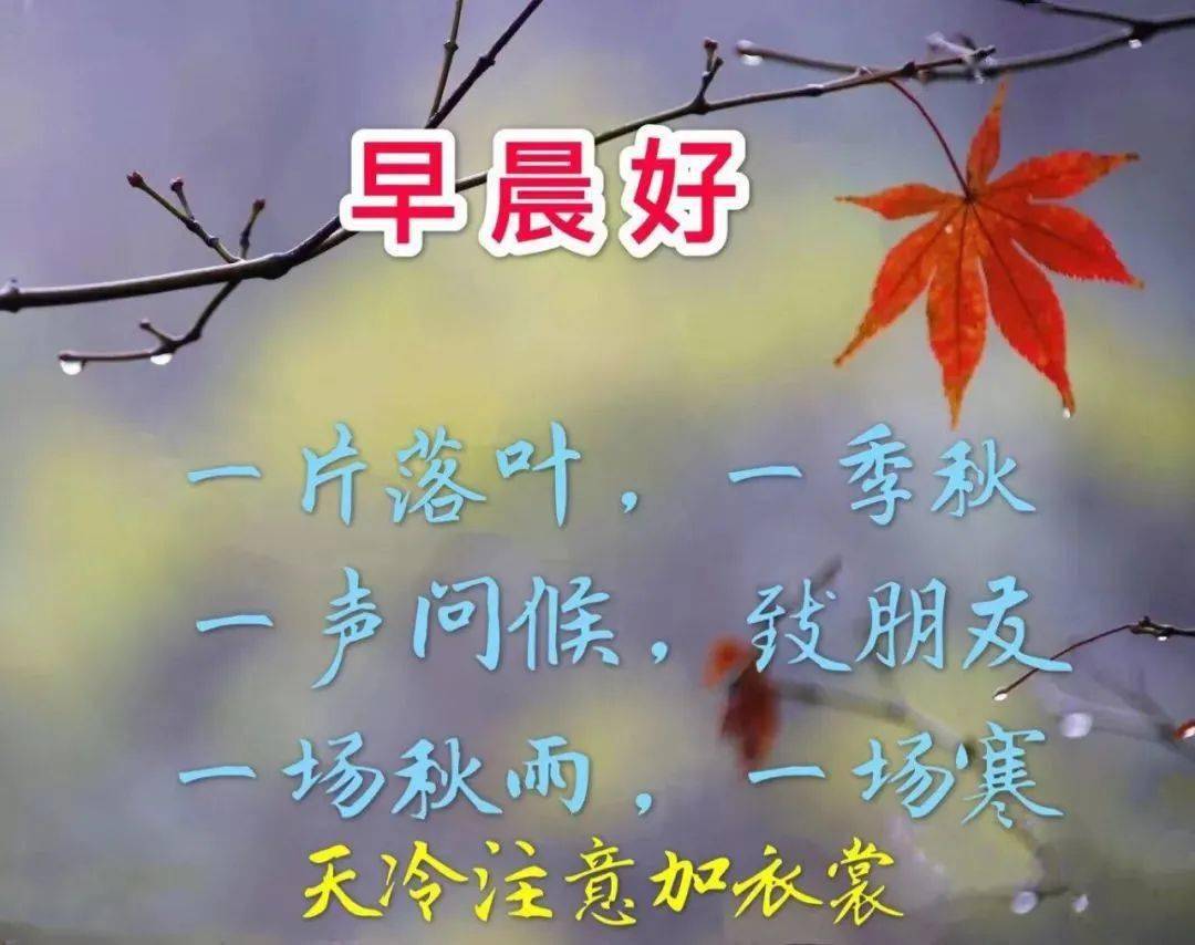 大家早上好:只要身体健康,幸福总在前方!