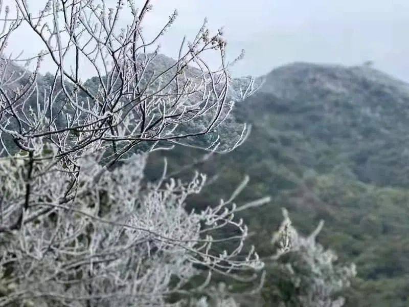 五指山有多少人口啊_孙悟空五指山(3)