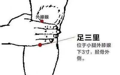 意太利人口_人口普查图片(3)