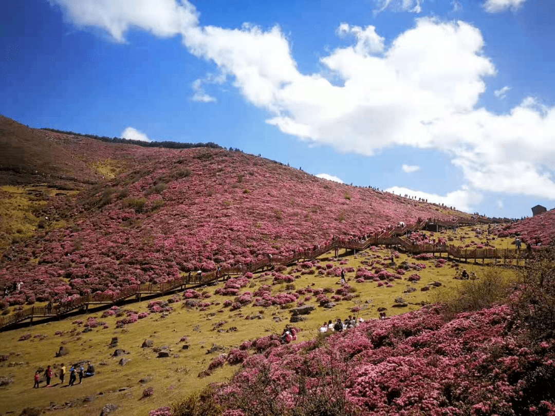 马鹿塘