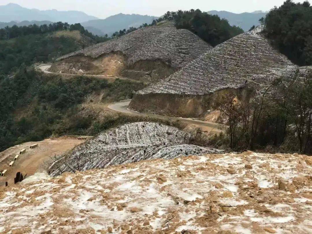 狮寨人口_人口普查(2)