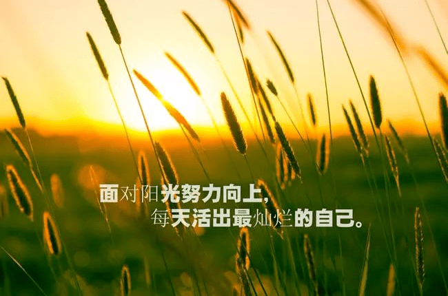 一句话早安心语正能量语录_生活