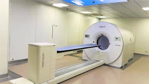 Pet Scan Uses Explained: Unveiling the Diagnostic Power of PET Scans in Veterinary Medicine