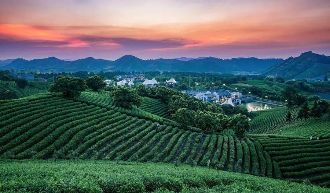 开云APP 开云官网入口2021年“风向标”！近郊“乡村旅游”崛起的行业新风口？