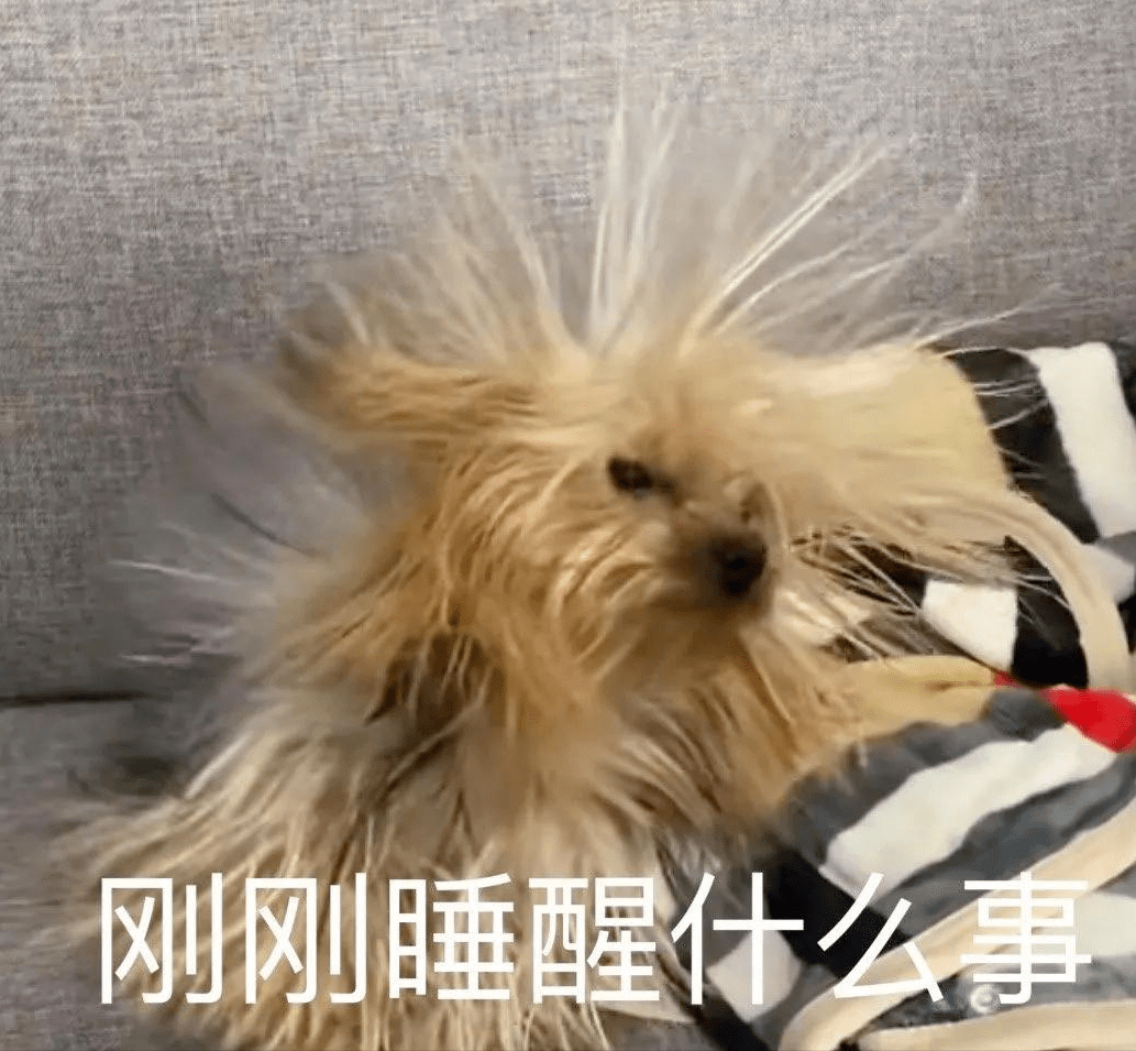 fc7c512119c24990a3cb9a8a81cf1867.png