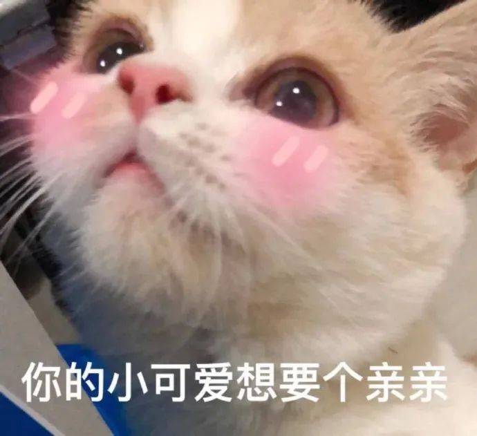 你的小可爱想要个亲亲撒娇表情包