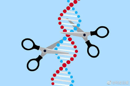 hello|“hello world！”CRISPR技术成功将数据存储在活细胞DNA中