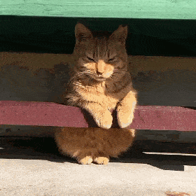 涪陵今天出太阳啦,晒一晒?